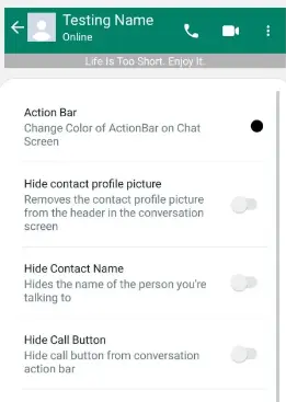 Chat Screen Action Bar